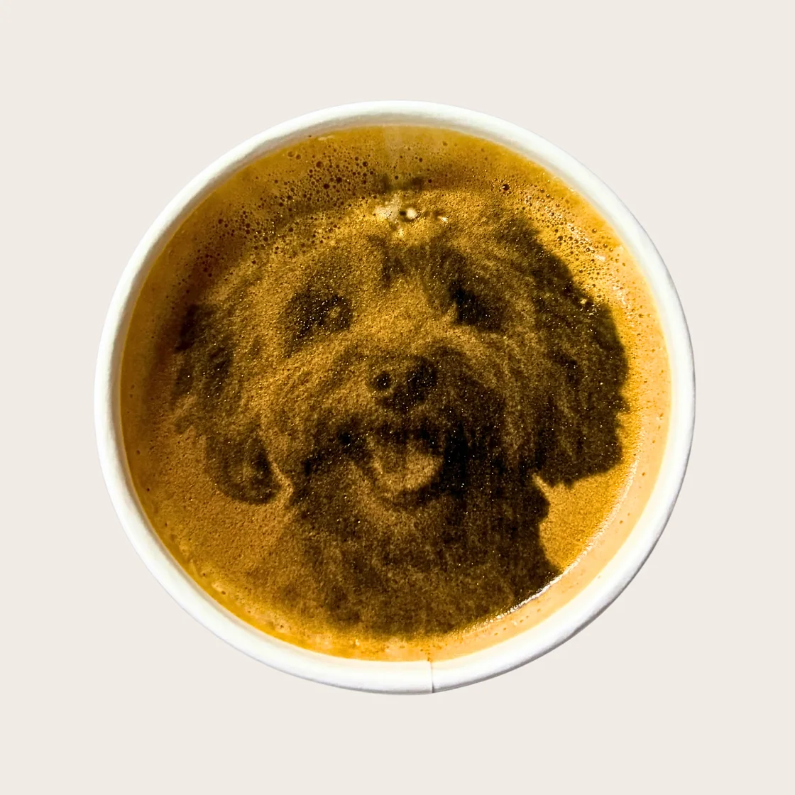 Originalfoto eines Coffee+ Getränks mit einem gedruckten Hundemotiv auf dem Schaum.