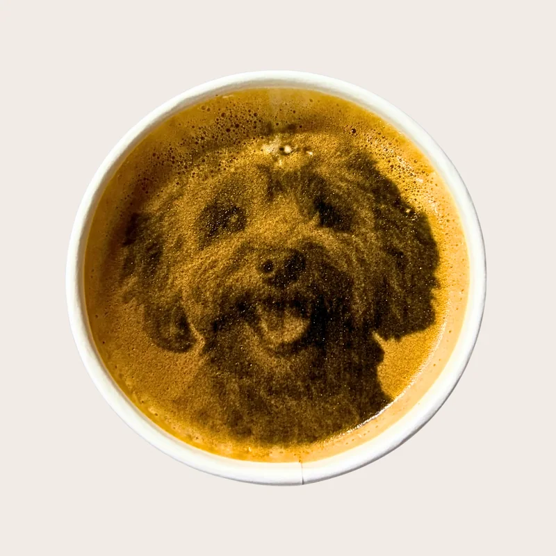 Cappuccino mit Bild